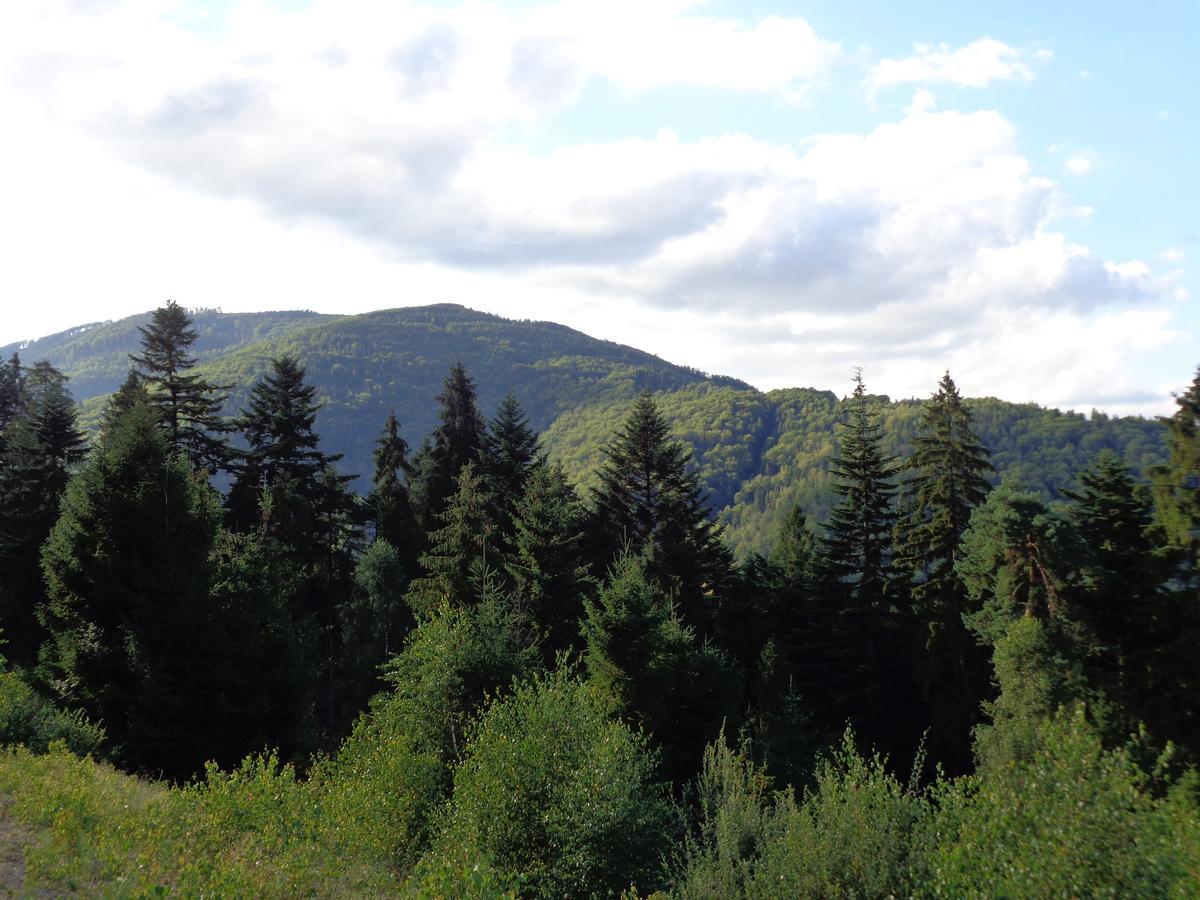 Вилла Kwiatowe Zacisze Щирк Экстерьер фото